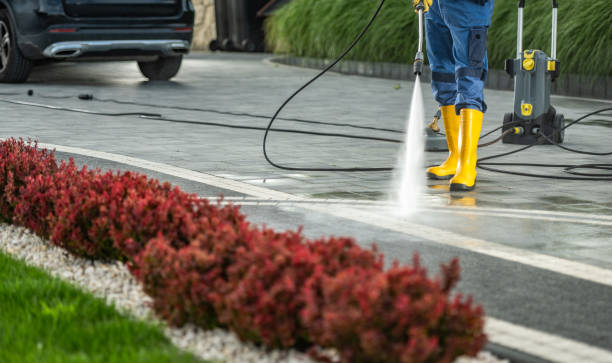 Best Residential Pressure Washing Services  in Red Lick, TX