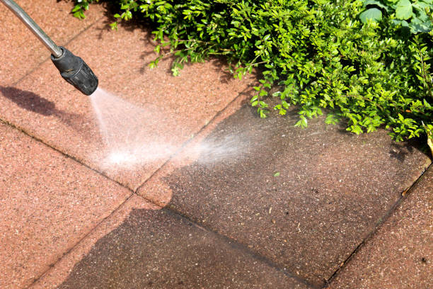 Best Pressure Washing Near Me  in Red Lick, TX